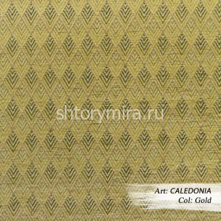 Ткань Caledonia Gold Dana Panorama